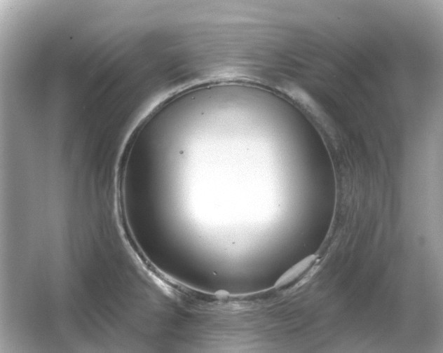 X0000066121286200603131318