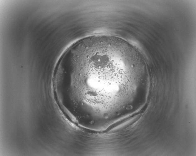 X0000066121288200603131318