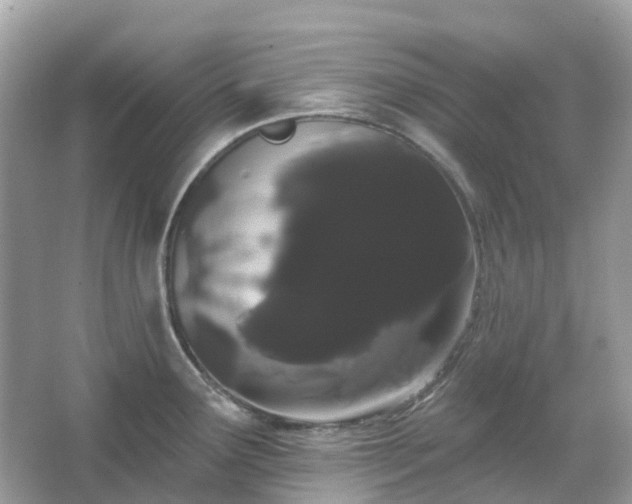 X0000066121291200603131318