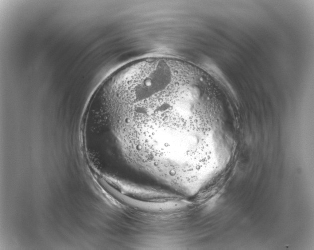 X0000066121292200603131318