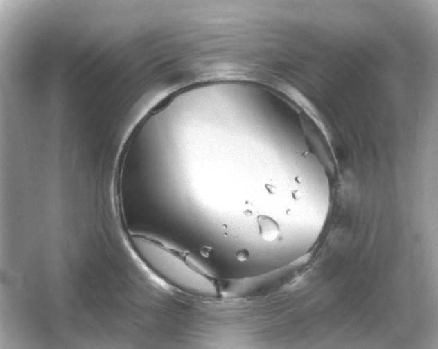 X0000066121293200603131318