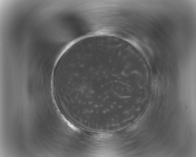 X0000066121294200603131318