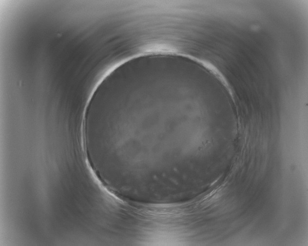 X0000066121295200603131318