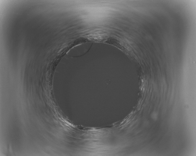 X0000066121297200603131317