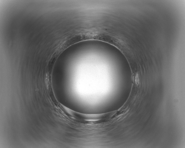 X0000066121299200603131317