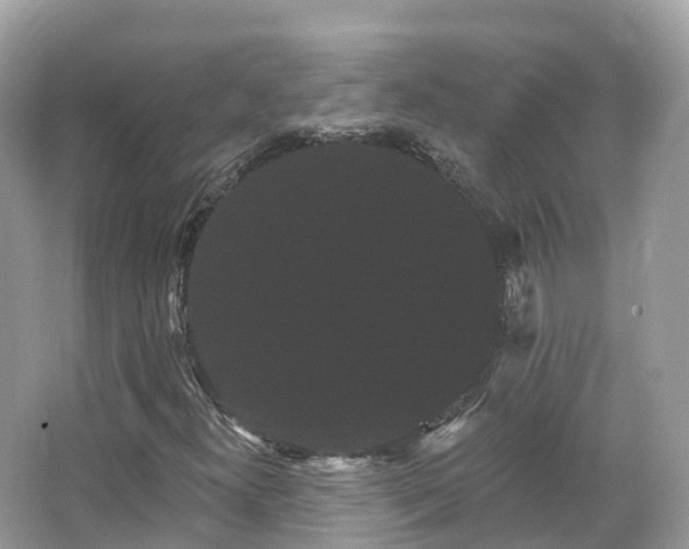 X0000066121300200603131317