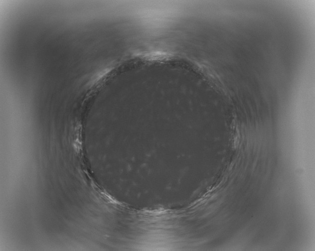 X0000066121301200603131317