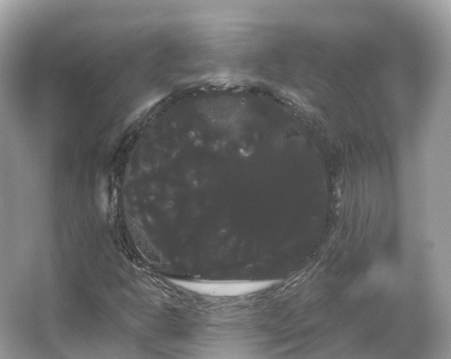 X0000066121302200603131317