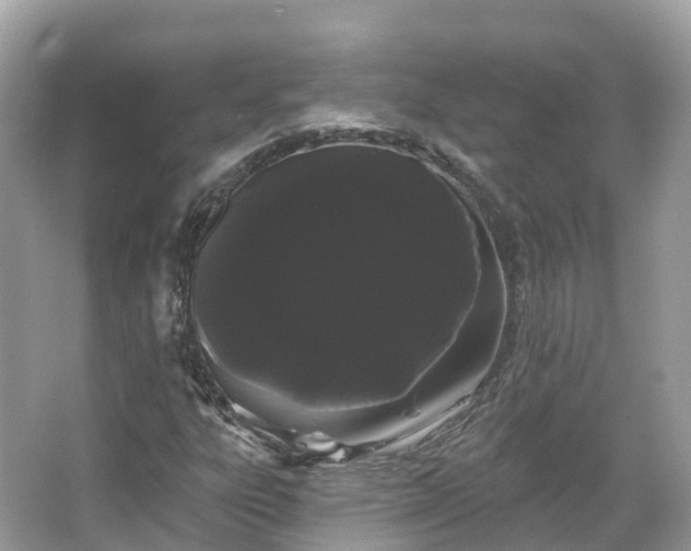 X0000066121303200603131317