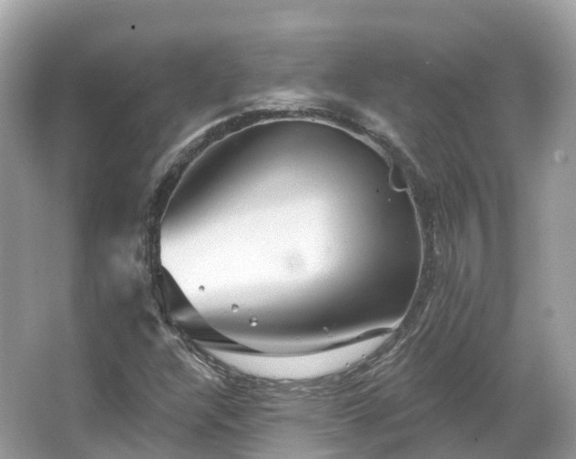 X0000066121304200603131317