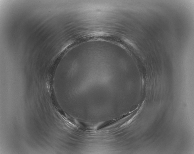 X0000066121305200603131318