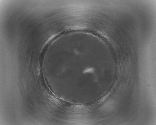 X0000066121306200603131318