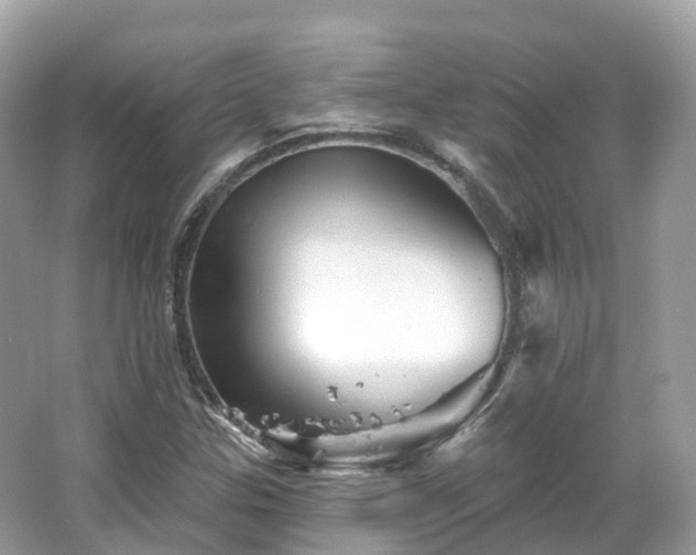 X0000066121307200603131318