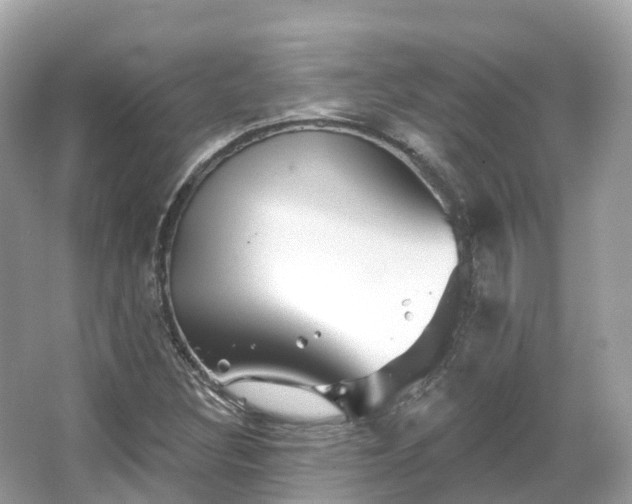 X0000066121308200603131318