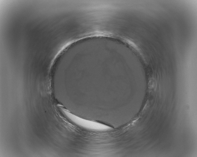 X0000066121310200603131318