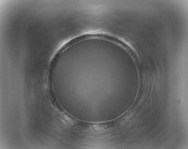 X0000066121311200603131318