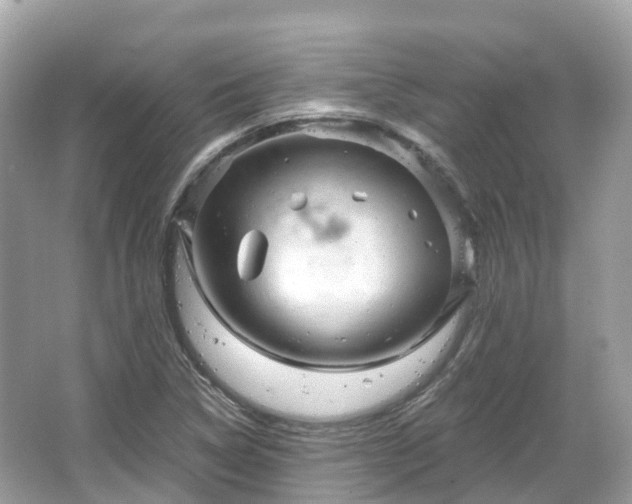 X0000066121314200603131318