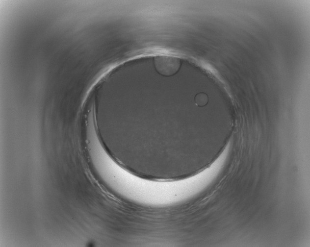 X0000066121318200603131318