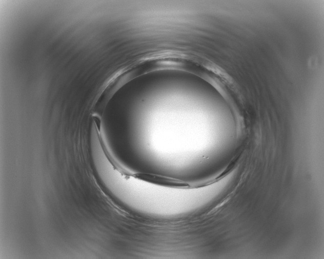 X0000066121321200603131318