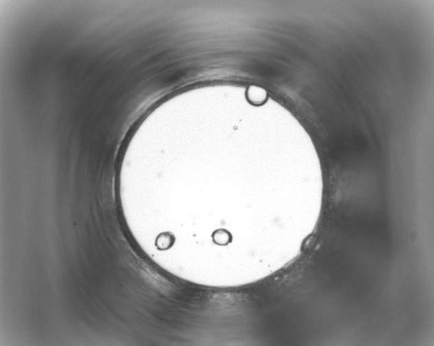 X0000066121322200603131318