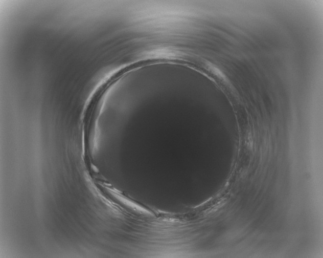 X0000066121323200603131318