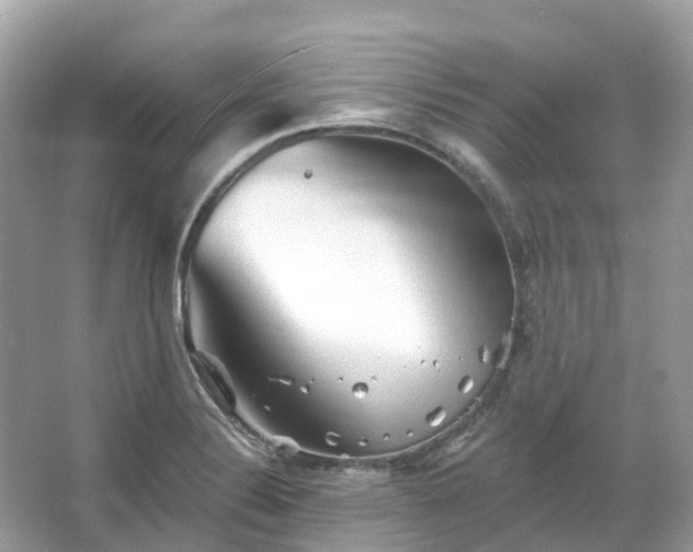 X0000066121324200603131318