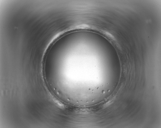 X0000066121326200603131318