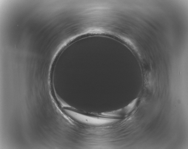 X0000066121327200603131318