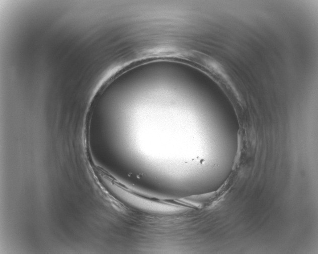 X0000066121328200603131318