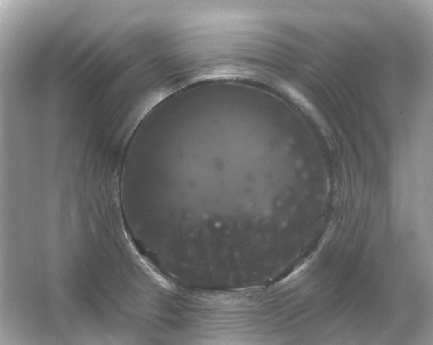 X0000066121329200603131318