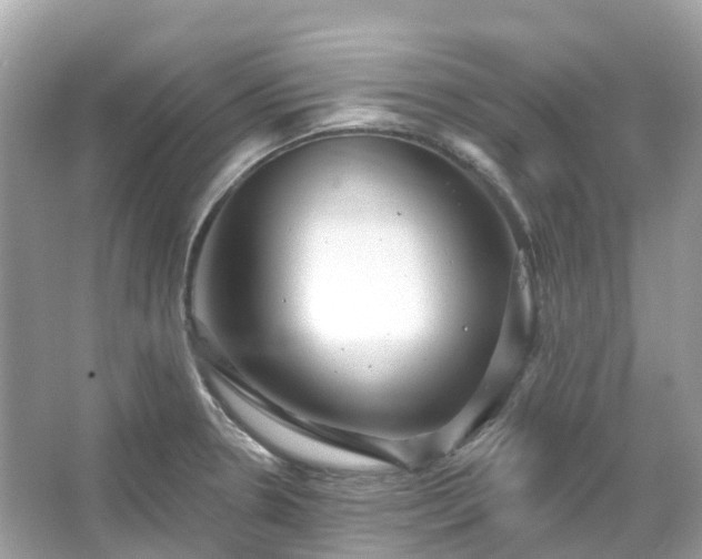 X0000066121330200603131318