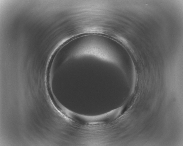 X0000066121331200603131318