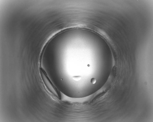 X0000066121332200603131318