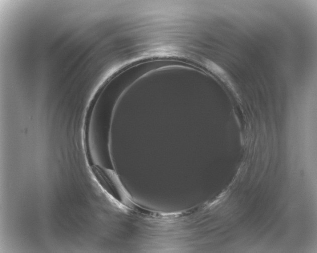 X0000066121334200603131318