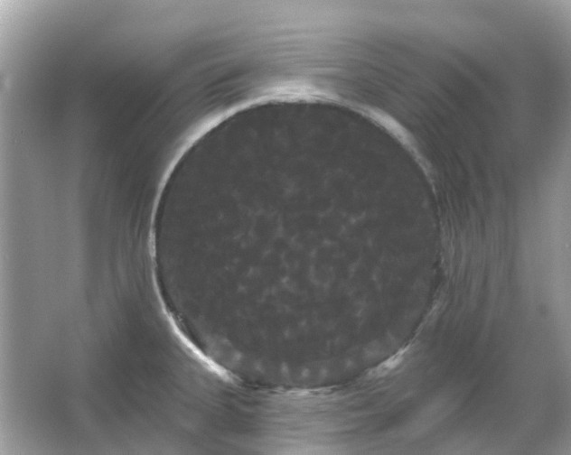 X0000066121335200603131318