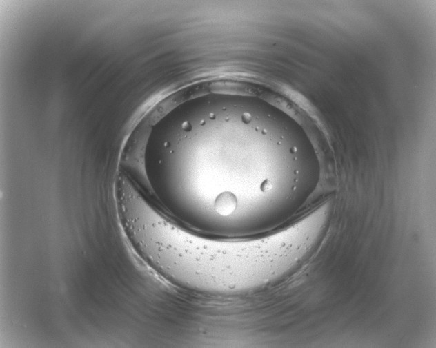 X0000066121338200603131318