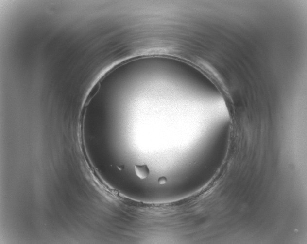 X0000066121340200603131318