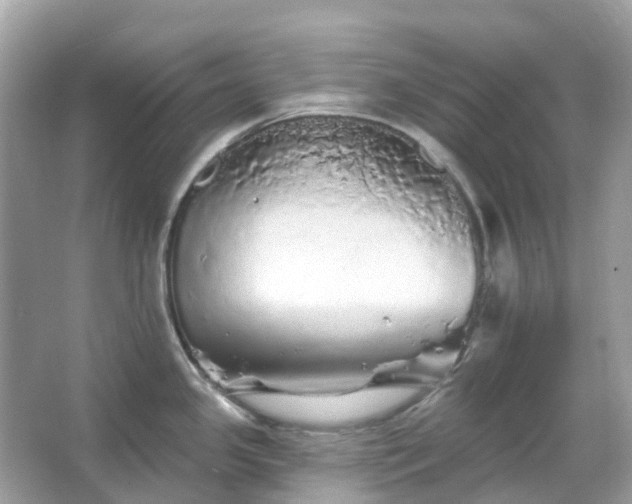 X0000066121341200603131318