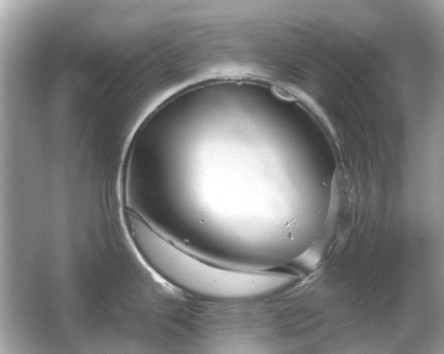 X0000066121343200603131318