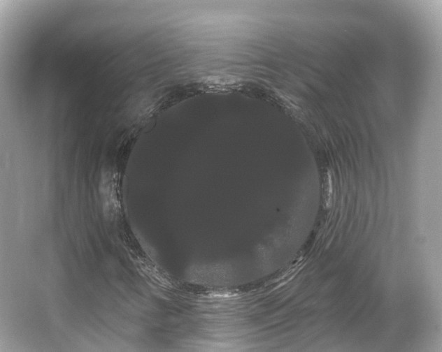 X0000066121346200603131317