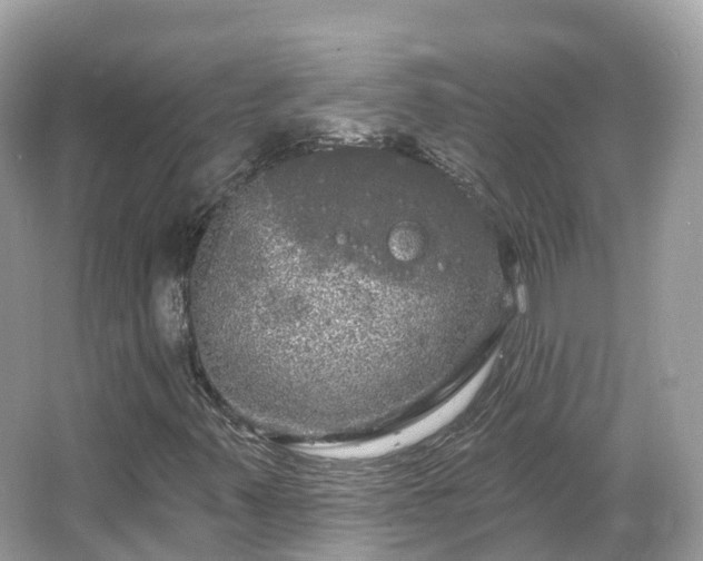 X0000066121347200603131317