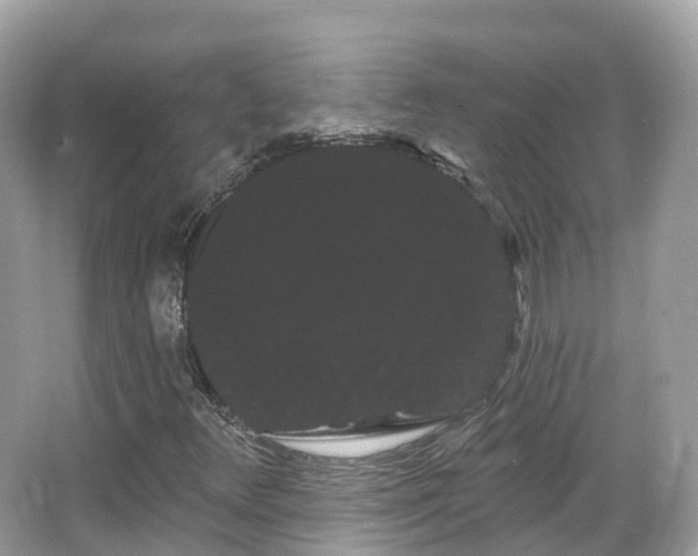 X0000066121348200603131317