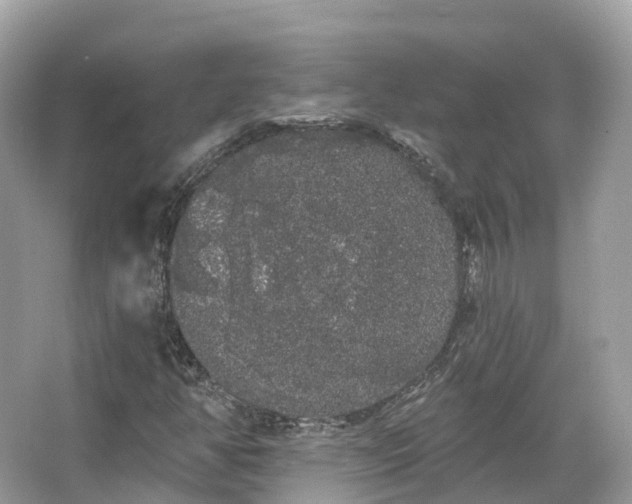 X0000066121350200603131317