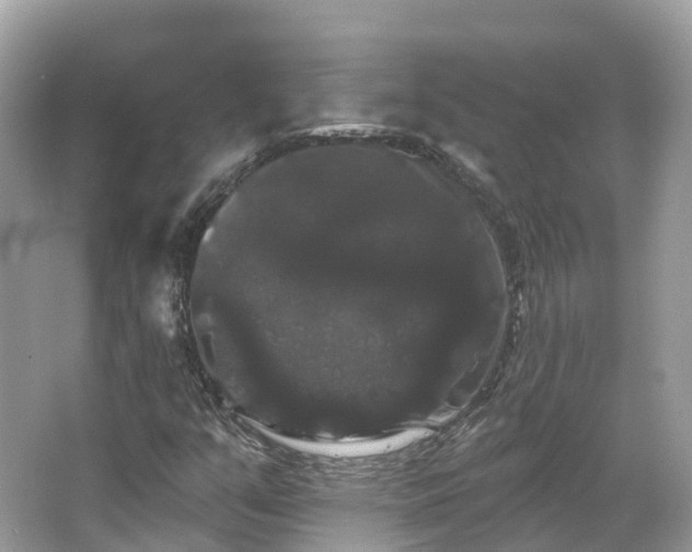 X0000066121351200603131317