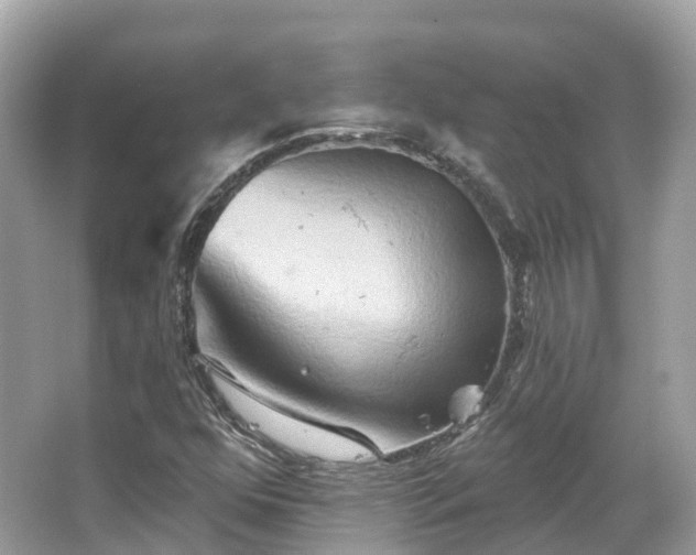 X0000066121352200603131317