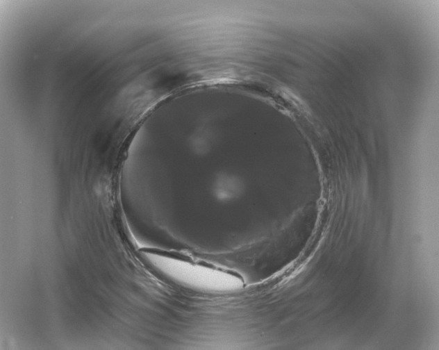 X0000066121353200603131317