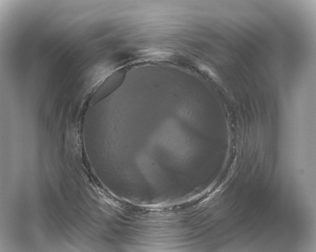 X0000066121354200603131317