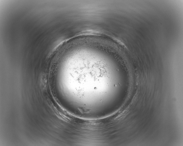 X0000066121355200603131317