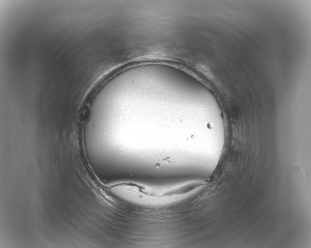 X0000066121356200603131317