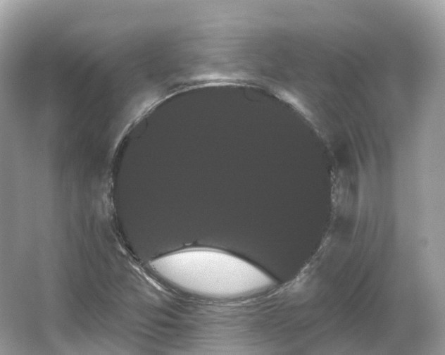 X0000066121357200603131317